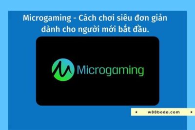 Microgaming – Cách Chơi Đơn Giản Dành Cho Người Mới Bắt Đầu